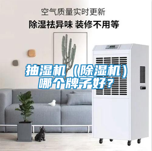 抽濕機（除濕機）哪個牌子好？