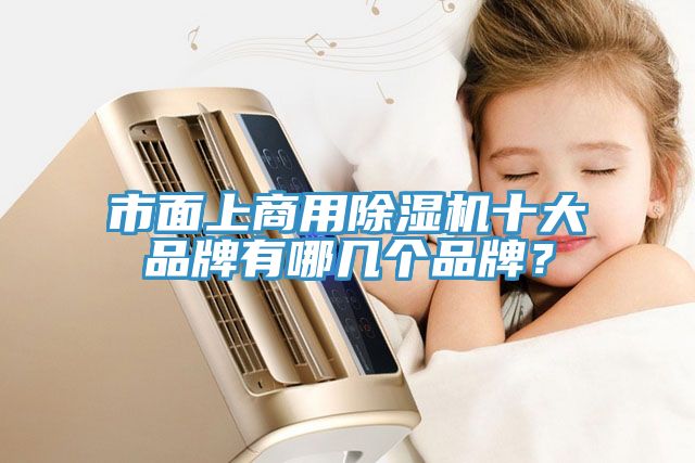 市面上商用除濕機(jī)十大品牌有哪幾個(gè)品牌？