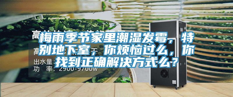 梅雨季節(jié)家里潮濕發(fā)霉，特別地下室，你煩惱過么，你找到正確解決方式么？