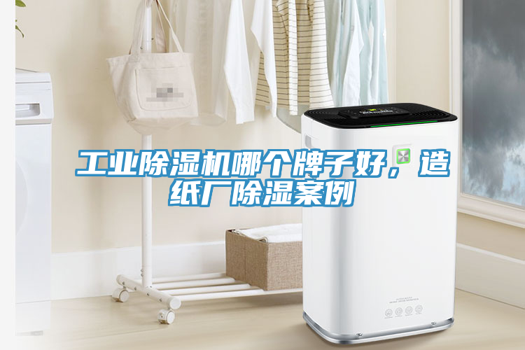 工業(yè)除濕機(jī)哪個(gè)牌子好，造紙廠除濕案例