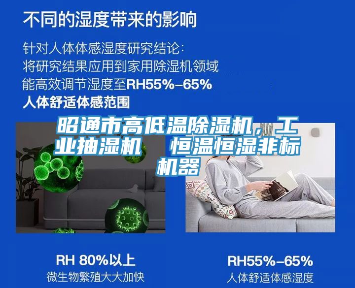 昭通市高低溫除濕機，工業(yè)抽濕機  恒溫恒濕非標機器