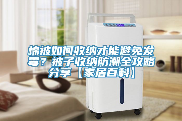 棉被如何收納才能避免發(fā)霉？被子收納防潮全攻略分享【家居百科】