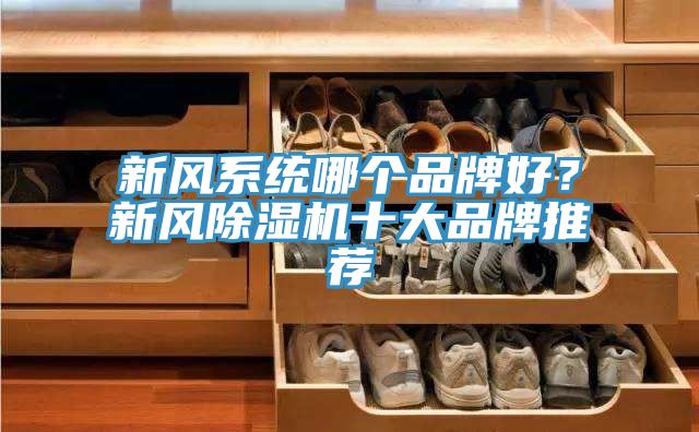新風(fēng)系統(tǒng)哪個(gè)品牌好？新風(fēng)除濕機(jī)十大品牌推薦