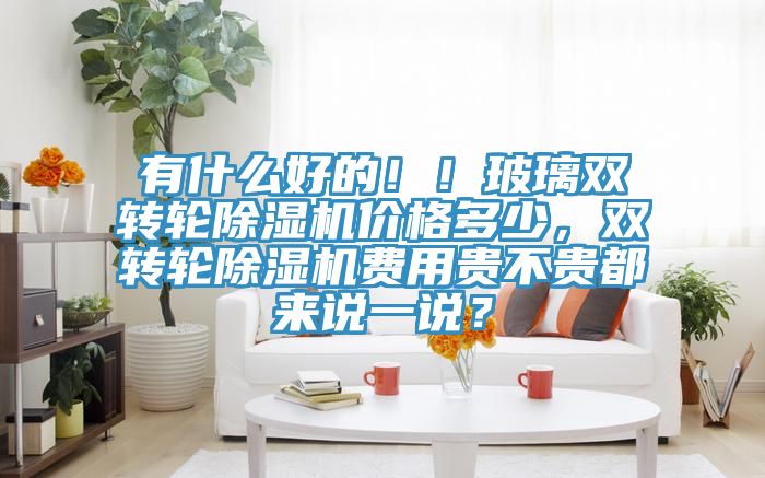 有什么好的??！玻璃雙轉(zhuǎn)輪除濕機價格多少，雙轉(zhuǎn)輪除濕機費用貴不貴都來說一說？