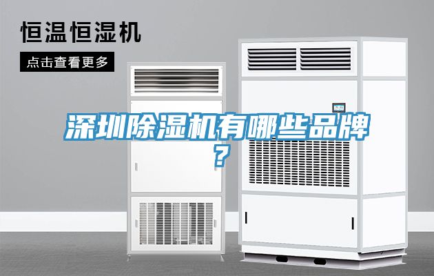 深圳除濕機(jī)有哪些品牌？