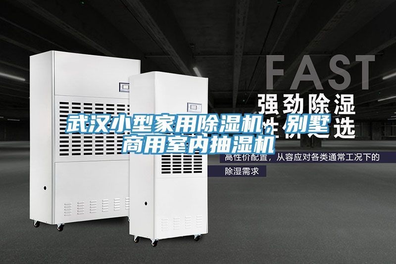 武漢小型家用除濕機(jī)，別墅商用室內(nèi)抽濕機(jī)