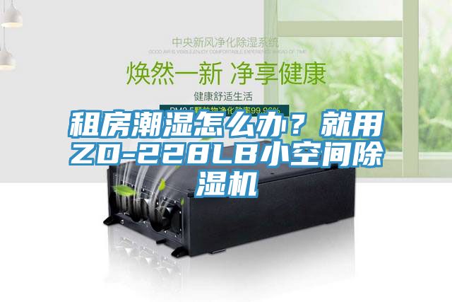 租房潮濕怎么辦？就用ZD-228LB小空間除濕機(jī)
