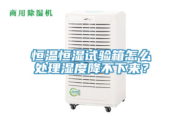 恒溫恒濕試驗(yàn)箱怎么處理濕度降不下來？
