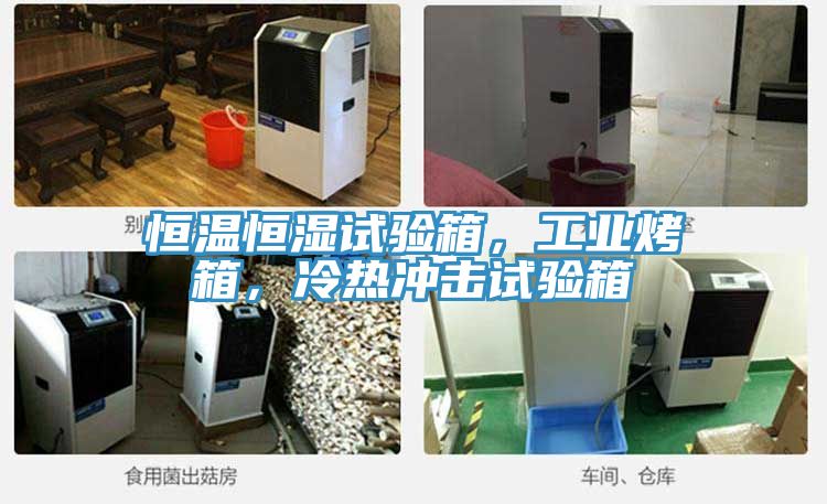 恒溫恒濕試驗箱，工業(yè)烤箱，冷熱沖擊試驗箱