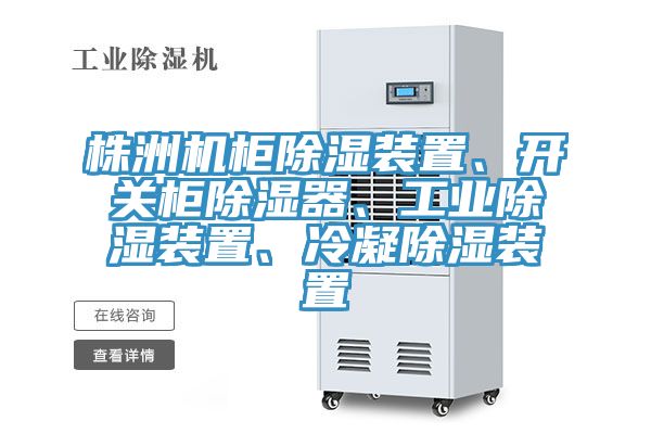 株洲機(jī)柜除濕裝置、開(kāi)關(guān)柜除濕器、工業(yè)除濕裝置、冷凝除濕裝置