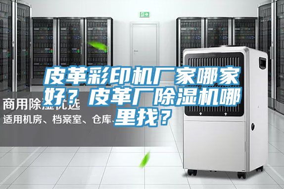 皮革彩印機廠家哪家好？皮革廠除濕機哪里找？