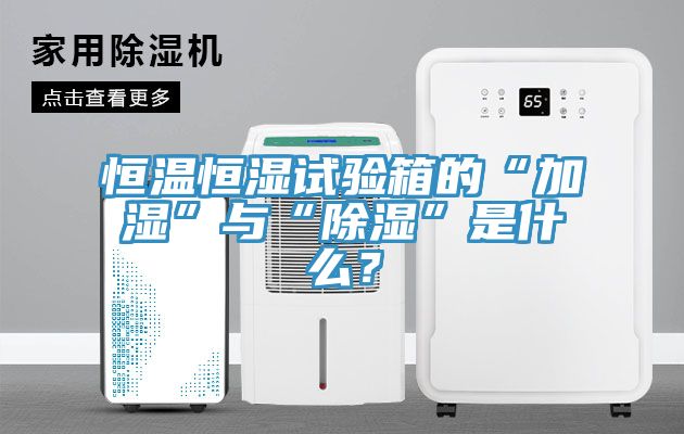 恒溫恒濕試驗箱的“加濕”與“除濕”是什么？