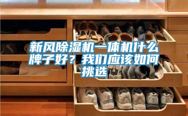 新風(fēng)除濕機(jī)一體機(jī)什么牌子好？我們應(yīng)該如何挑選