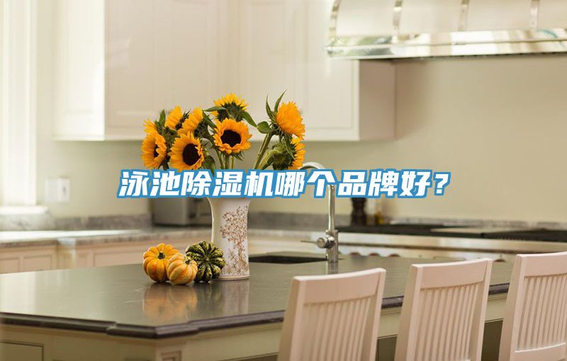 泳池除濕機(jī)哪個(gè)品牌好？