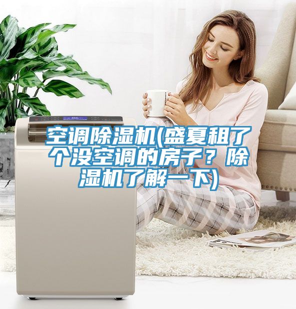 空調(diào)除濕機(jī)(盛夏租了個(gè)沒空調(diào)的房子？除濕機(jī)了解一下)