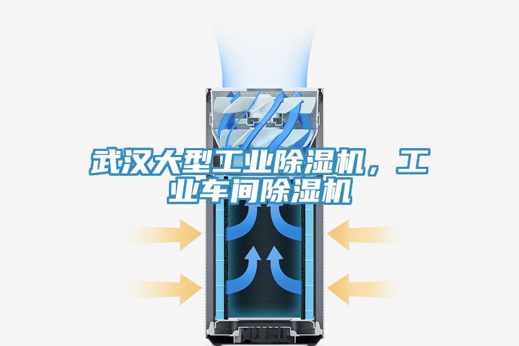 武漢大型工業(yè)除濕機(jī)，工業(yè)車(chē)間除濕機(jī)