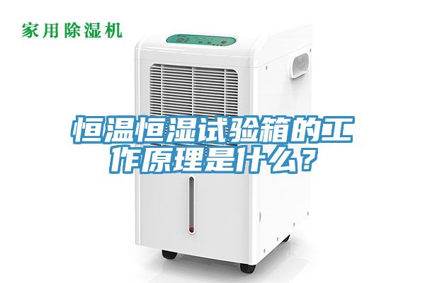 恒溫恒濕試驗(yàn)箱的工作原理是什么？
