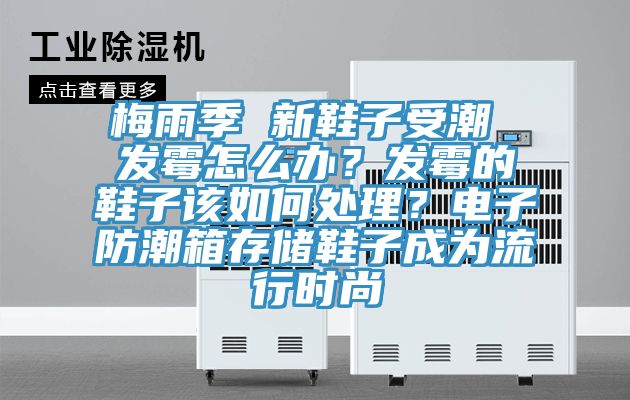 梅雨季 新鞋子受潮 發(fā)霉怎么辦？發(fā)霉的鞋子該如何處理？電子防潮箱存儲鞋子成為流行時尚