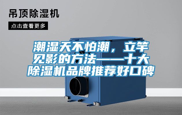 潮濕天不怕潮，立竿見影的方法——十大除濕機(jī)品牌推薦好口碑