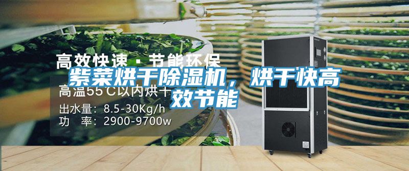紫菜烘干除濕機(jī)，烘干快高效節(jié)能