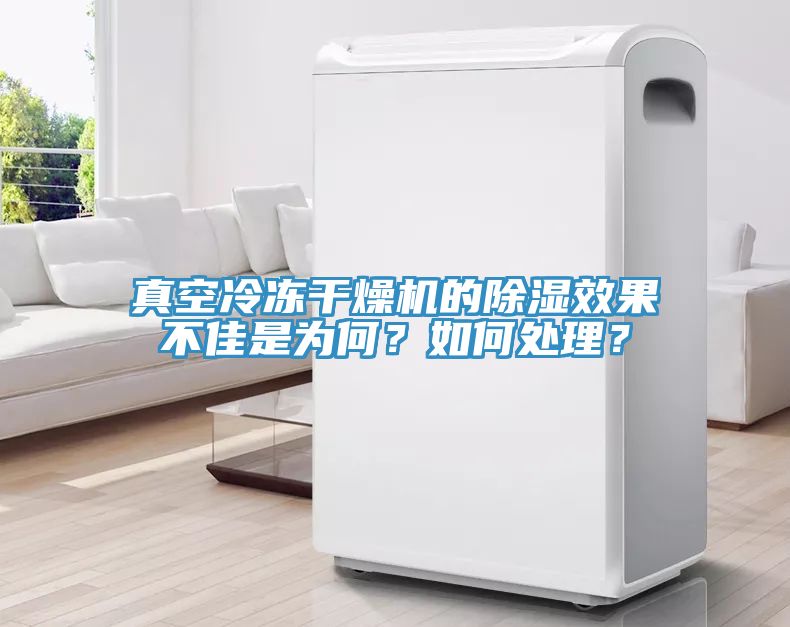 真空冷凍干燥機(jī)的除濕效果不佳是為何？如何處理？