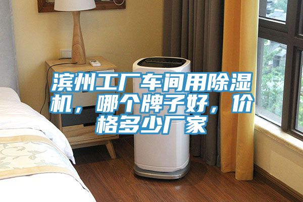 濱州工廠車間用除濕機，哪個牌子好，價格多少廠家