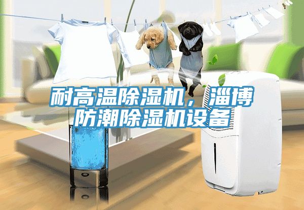 耐高溫除濕機(jī)，淄博防潮除濕機(jī)設(shè)備