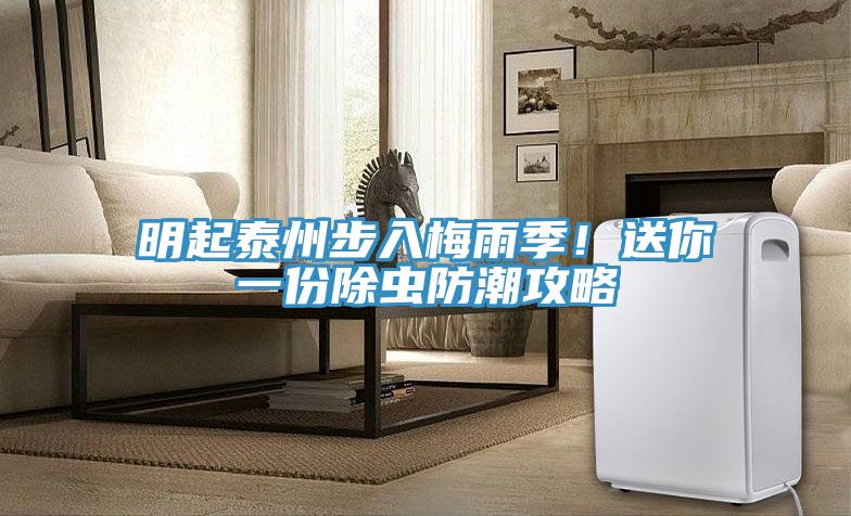 明起泰州步入梅雨季！送你一份除蟲防潮攻略