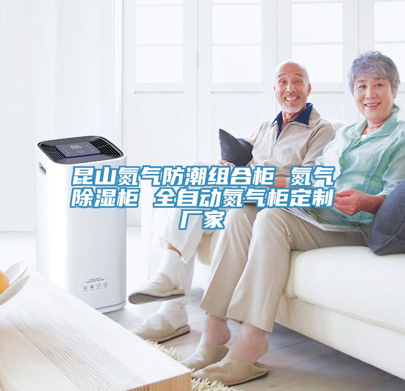 昆山氮?dú)夥莱苯M合柜 氮?dú)獬凉窆?全自動氮?dú)夤穸ㄖ茝S家