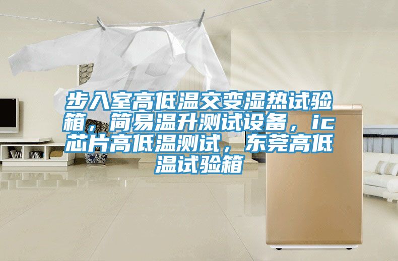 步入室高低溫交變濕熱試驗(yàn)箱，簡易溫升測試設(shè)備，ic芯片高低溫測試，東莞高低溫試驗(yàn)箱