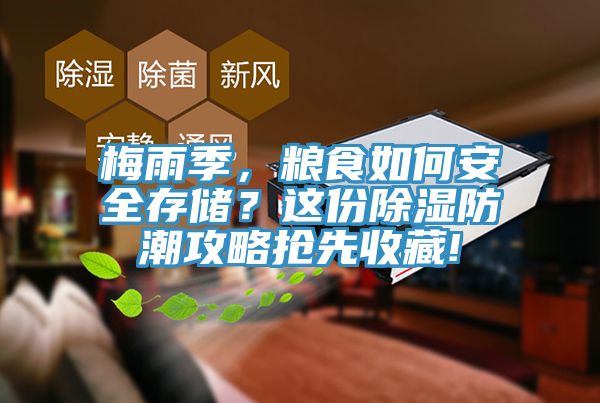 梅雨季，糧食如何安全存儲(chǔ)？這份除濕防潮攻略搶先收藏!