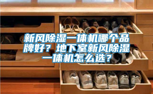 新風(fēng)除濕一體機(jī)哪個(gè)品牌好？地下室新風(fēng)除濕一體機(jī)怎么選？
