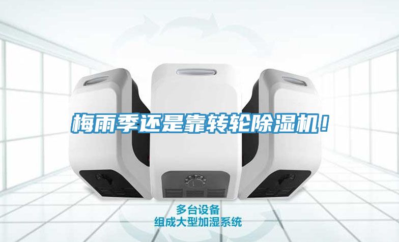 梅雨季還是靠轉(zhuǎn)輪除濕機(jī)！