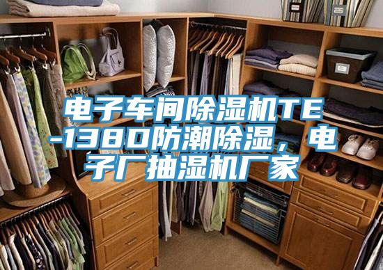 電子車間除濕機TE-138D防潮除濕，電子廠抽濕機廠家