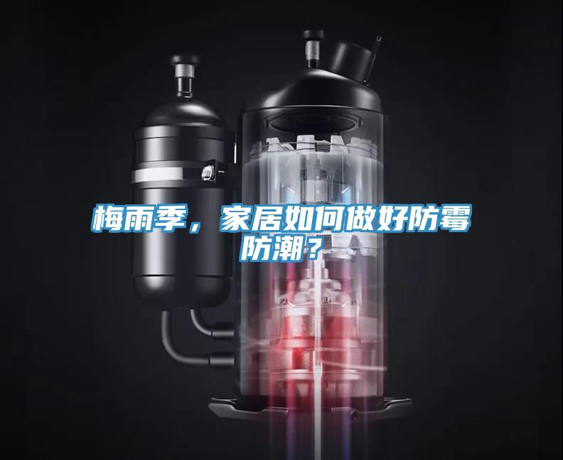 梅雨季，家居如何做好防霉防潮？