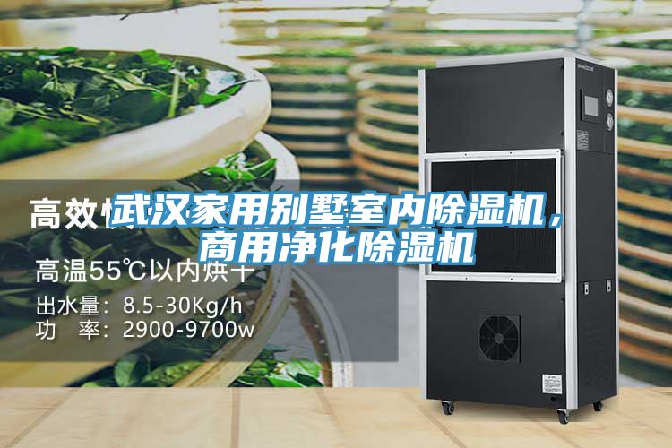 武漢家用別墅室內(nèi)除濕機(jī)，商用凈化除濕機(jī)