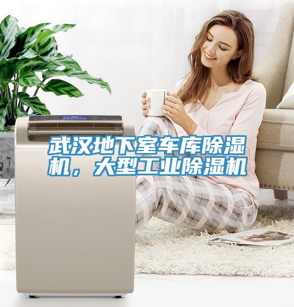 武漢地下室車(chē)庫(kù)除濕機(jī)，大型工業(yè)除濕機(jī)