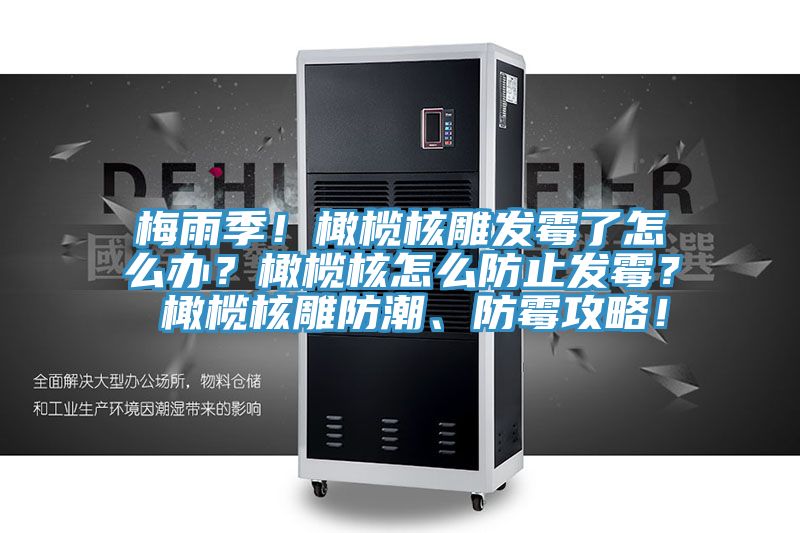 梅雨季！橄欖核雕發(fā)霉了怎么辦？橄欖核怎么防止發(fā)霉？ 橄欖核雕防潮、防霉攻略！