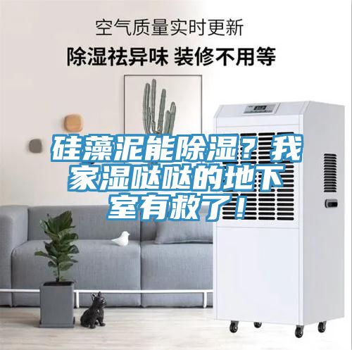 硅藻泥能除濕？我家濕噠噠的地下室有救了！