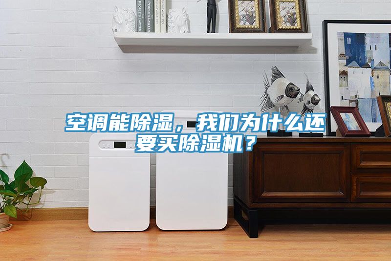 空調(diào)能除濕，我們?yōu)槭裁催€要買除濕機(jī)？