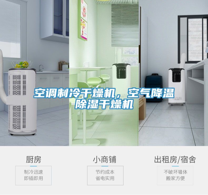 空調(diào)制冷干燥機，空氣降溫除濕干燥機