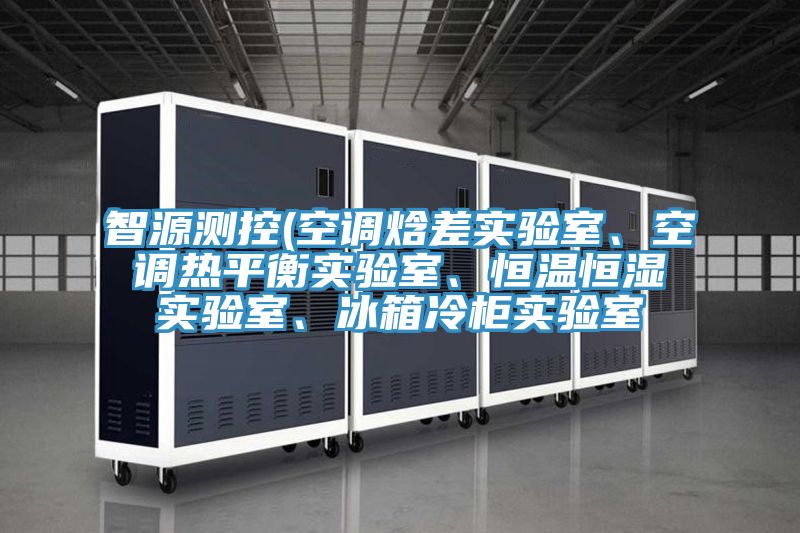智源測控(空調(diào)焓差實(shí)驗(yàn)室、空調(diào)熱平衡實(shí)驗(yàn)室、恒溫恒濕實(shí)驗(yàn)室、冰箱冷柜實(shí)驗(yàn)室