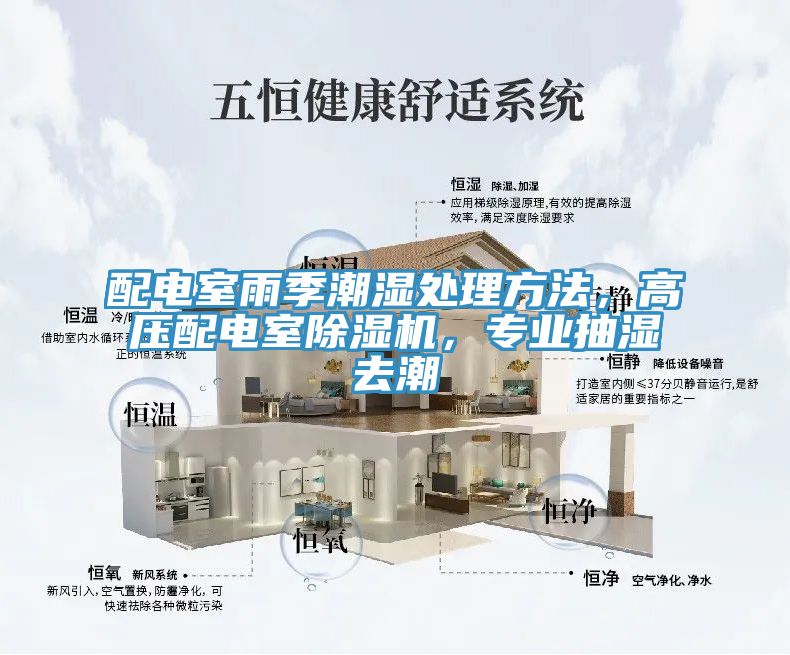 配電室雨季潮濕處理方法，高壓配電室除濕機(jī)，專業(yè)抽濕去潮