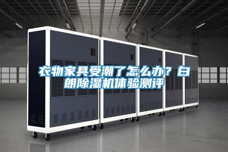 衣物家具受潮了怎么辦？白朗除濕機(jī)體驗(yàn)測(cè)評(píng)
