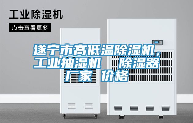 遂寧市高低溫除濕機，工業(yè)抽濕機  除濕器廠家 價格