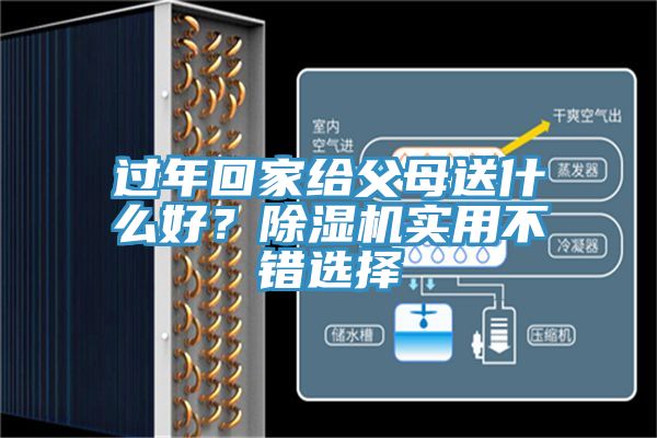 過年回家給父母送什么好？除濕機實用不錯選擇