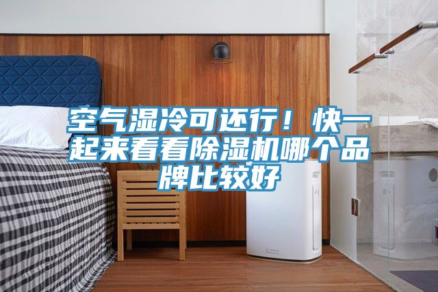 空氣濕冷可還行！快一起來看看除濕機(jī)哪個(gè)品牌比較好