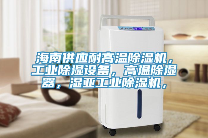 海南供應耐高溫除濕機，工業(yè)除濕設備，高溫除濕器，濕亞工業(yè)除濕機，