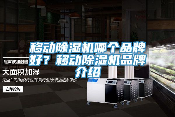 移動(dòng)除濕機(jī)哪個(gè)品牌好？移動(dòng)除濕機(jī)品牌介紹