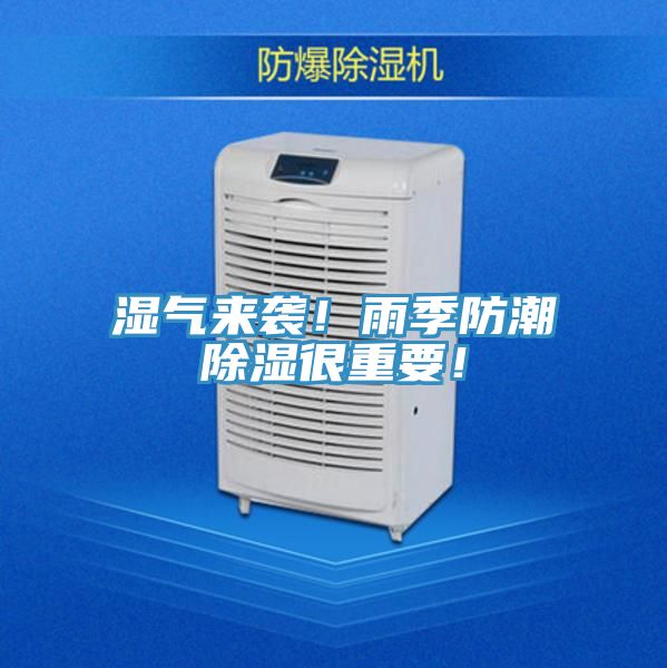 濕氣來襲！雨季防潮除濕很重要！